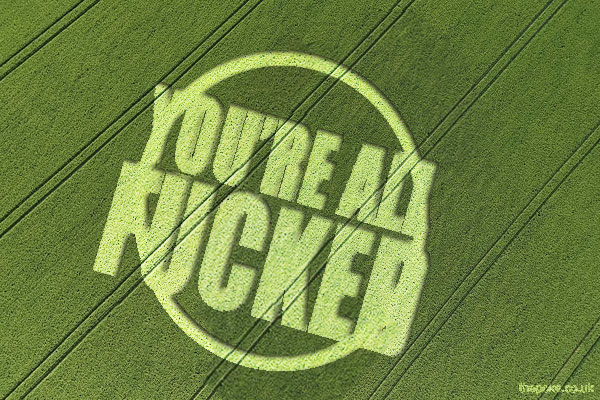 Wiltshire crop circle 'proof of alien intelligence' - The Poke