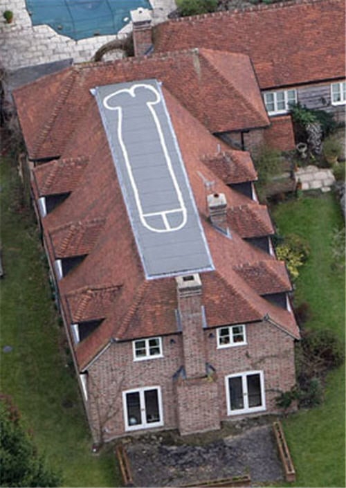 Penis On Roof Of House 103