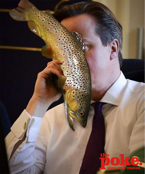 cameron_phone_trout