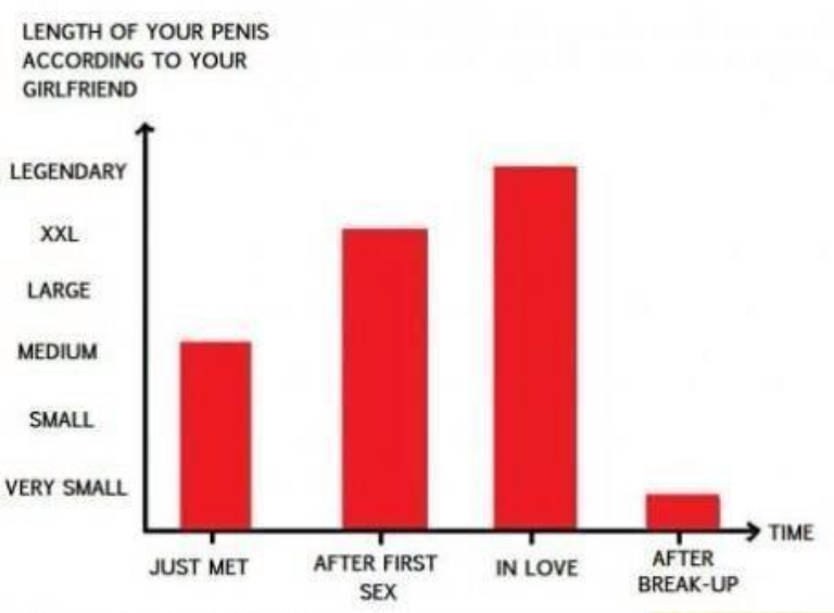 The Length Of Your Penis According To Your Girlfriend Chart The Poke 