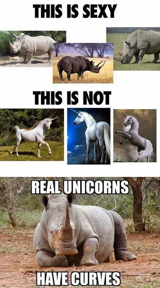 Real Unicorns Have Curves - The Poke