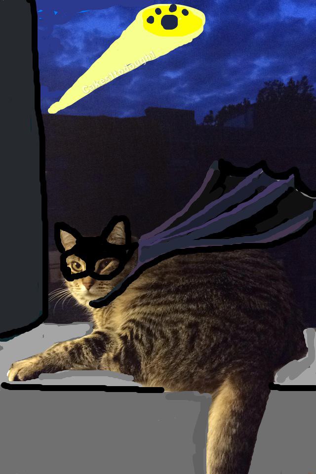 Snapcats - Snapchat Cats Improved With Doodles - The Poke
