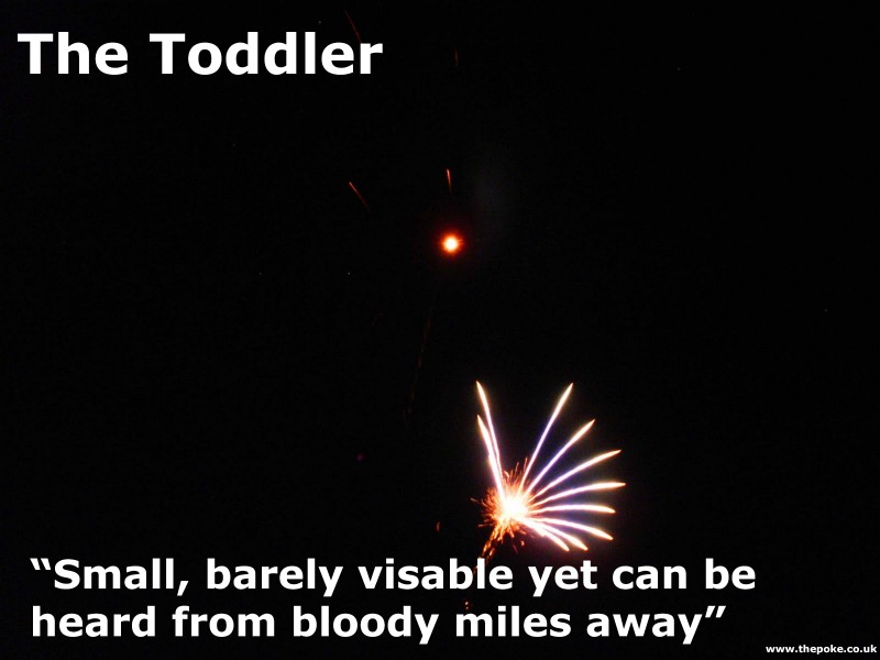 The Toddler
