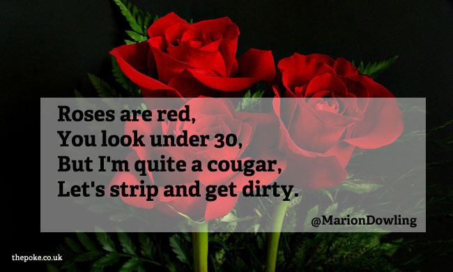 The best of your highly romantic 'roses are red' love ...