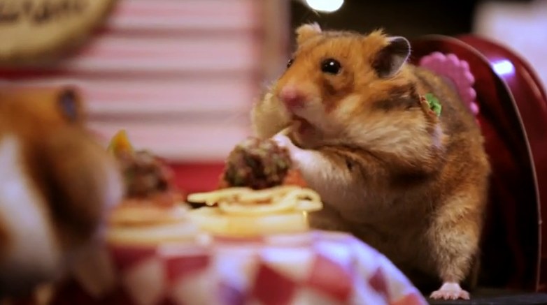 A tiny hamster goes on a tiny date The Poke