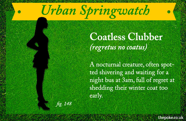 urbanspringwatch_coatless
