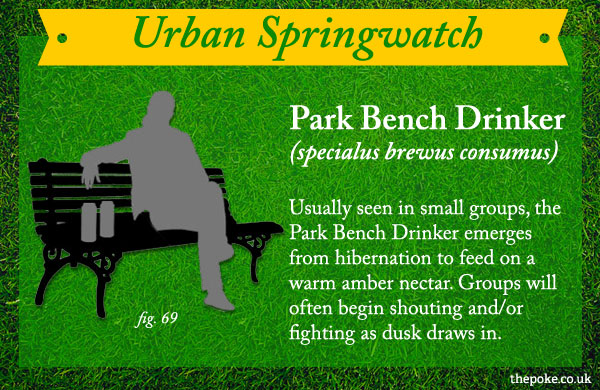 urbanspringwatch_drinker