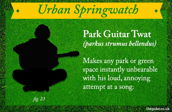urbanspringwatch_guitar