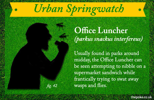 urbanspringwatch_lunch