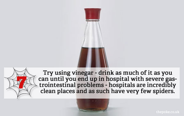 Try using vinegar - drink as much of it as you can until you end up in hospital with severe gastrointestinal problems - hospitals are incredibly clean places and as such have very few spiders.