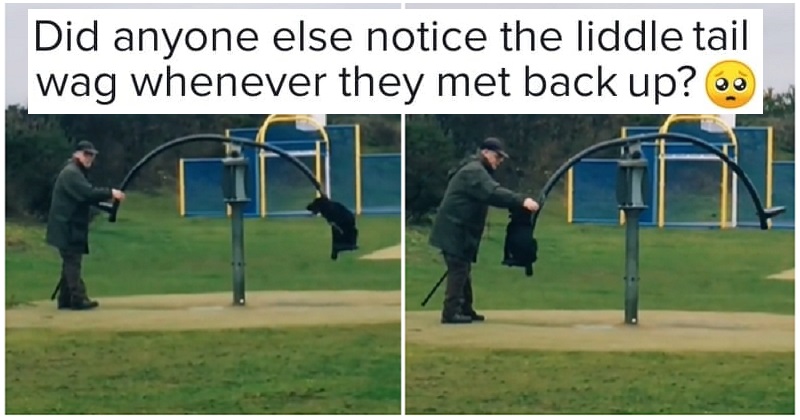 This viral clip of a man pushing his dog on a playground ride is 13 seconds well spent