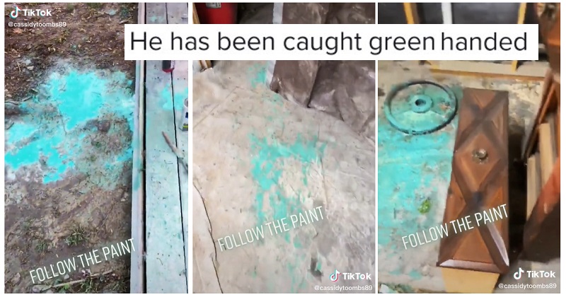 ‘Who got into the teal paint?’ is the best 91-second mystery on the internet