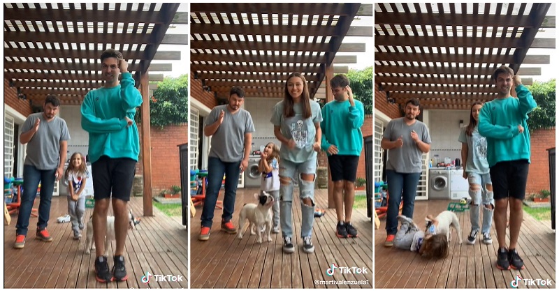 This TikTok dance took a startling but very funny turn when the dog got  involved - The Poke