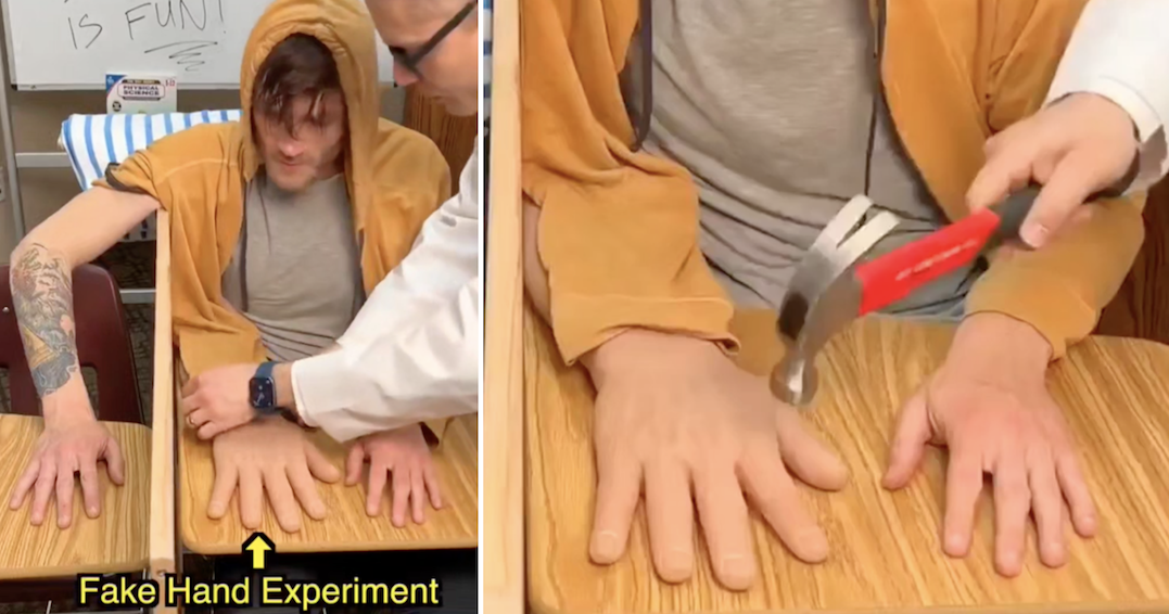 How this ‘rubber hand illusion’ deceives the brain is a fascinating watch
