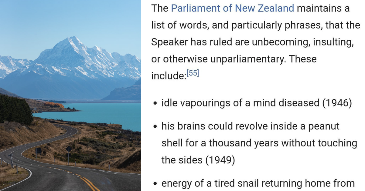 This list of takedowns banned by the New Zealand parliament is a treasure trove of ‘rare insults’