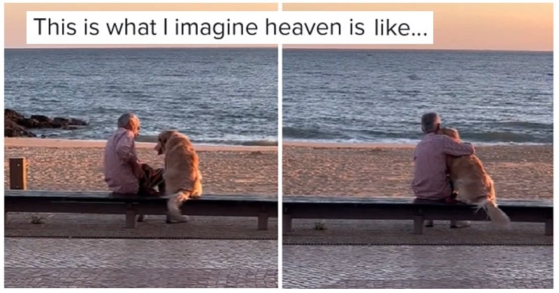 This wildly viral clip of a man and his dog enjoying the sunset is giving people feelings